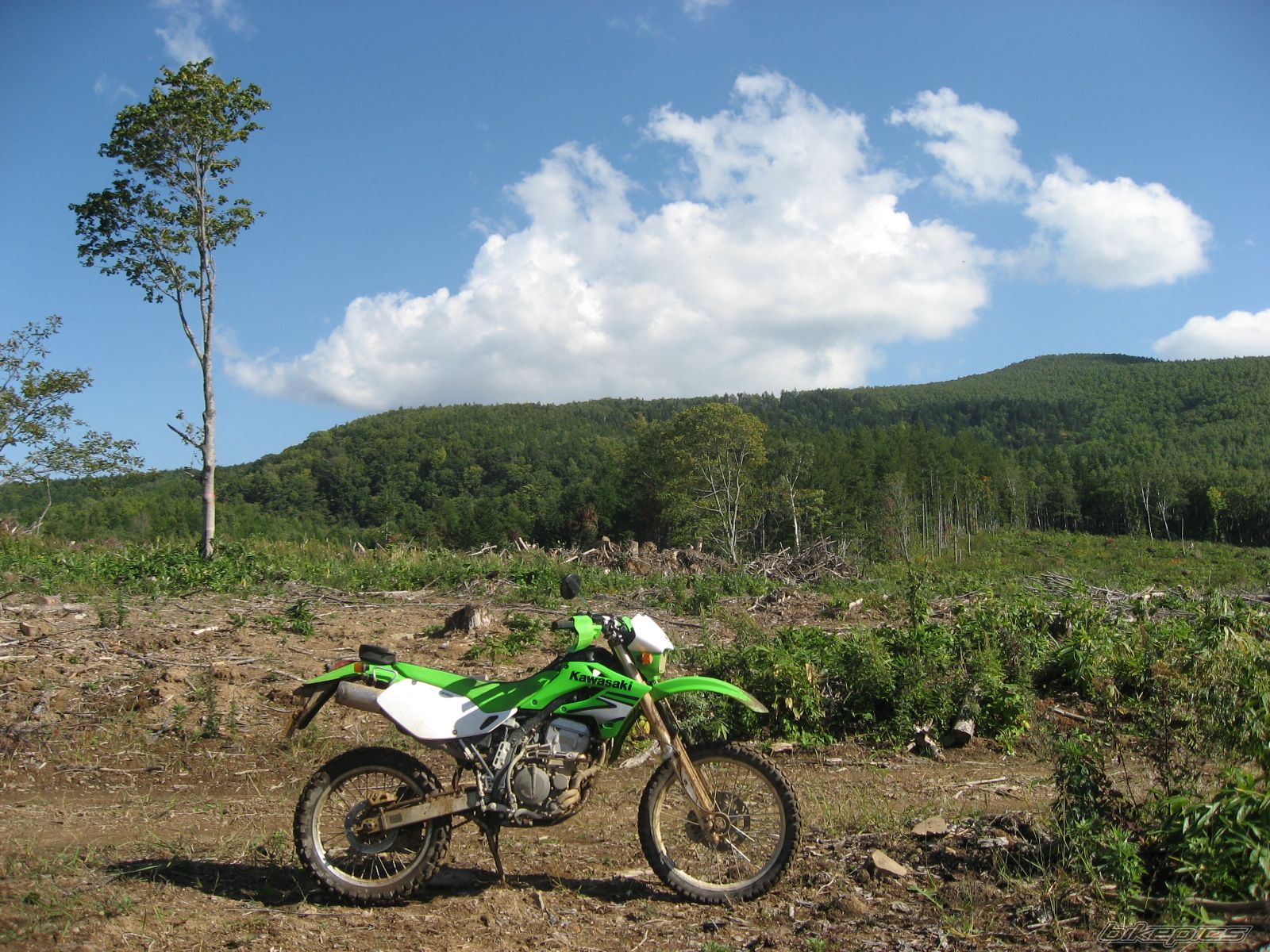 Photo 1816068