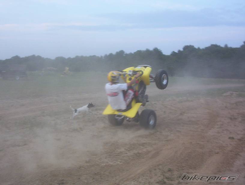Bike Photo 181624