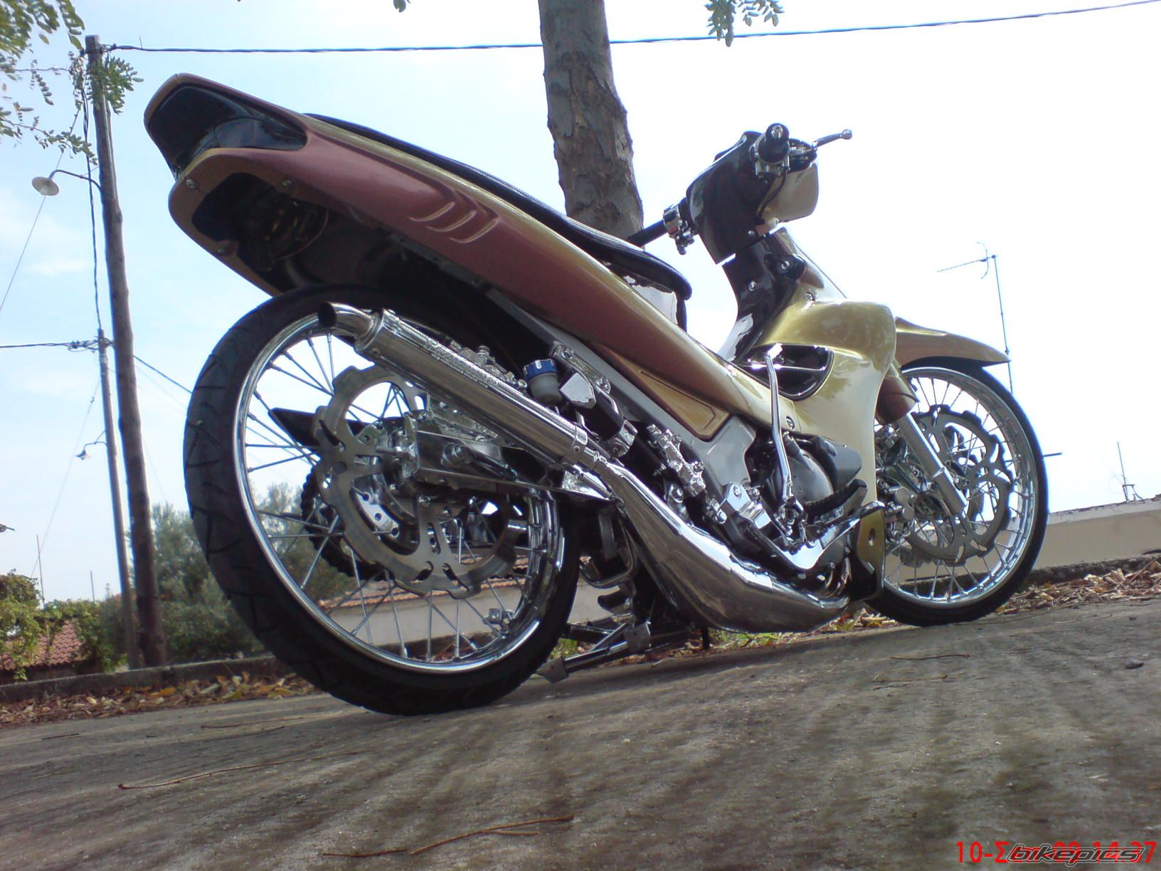 Photo 1816409