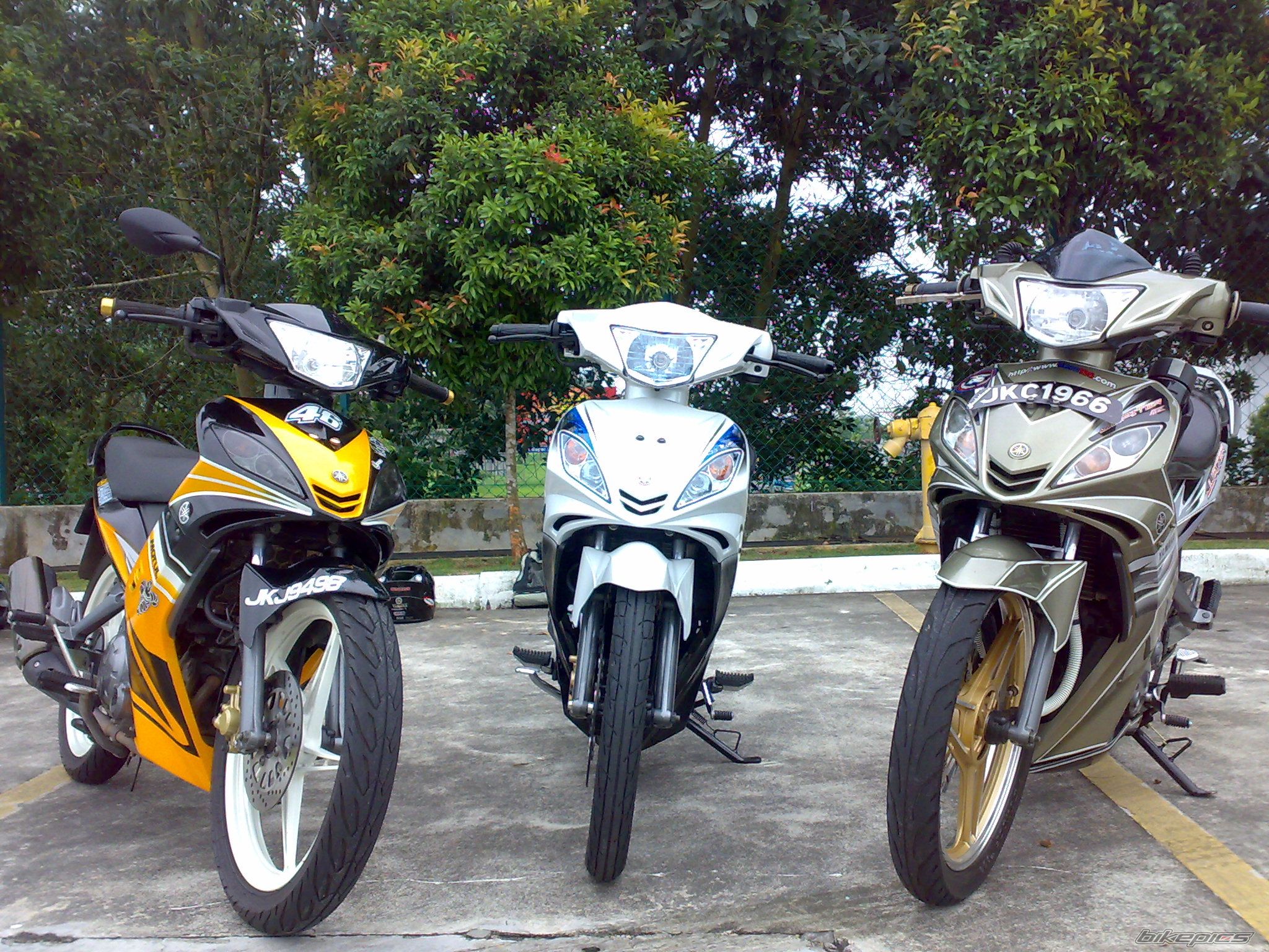 Photo 1816633