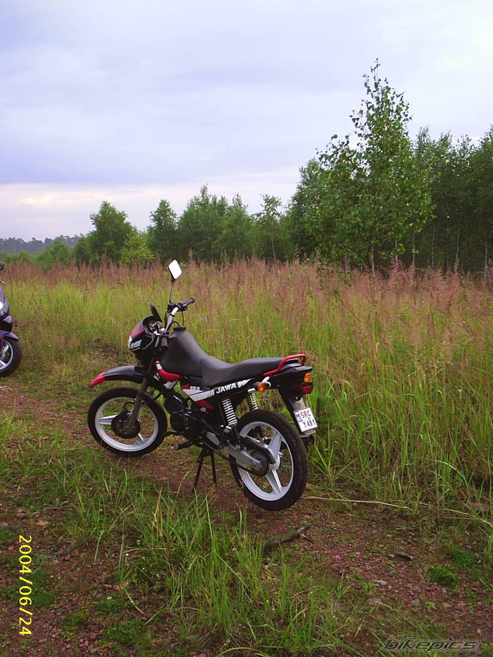 Photo 181683