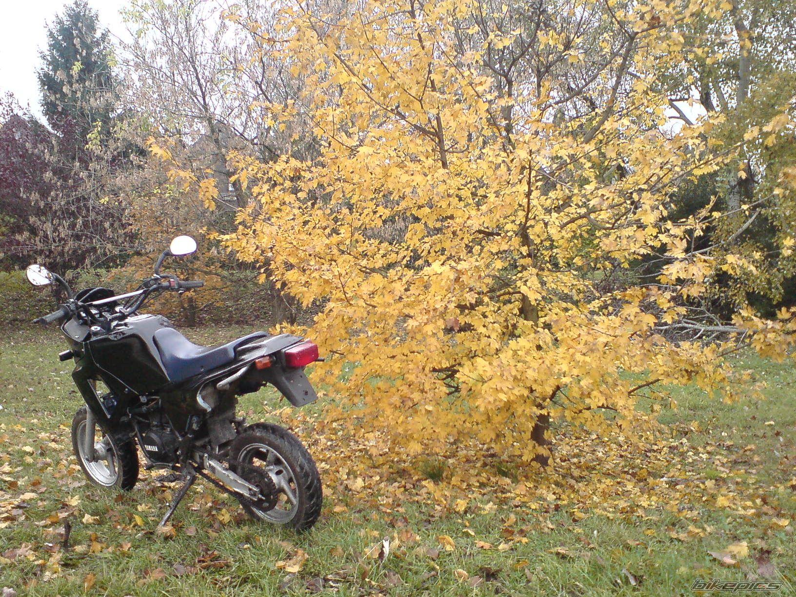 Photo 1816834