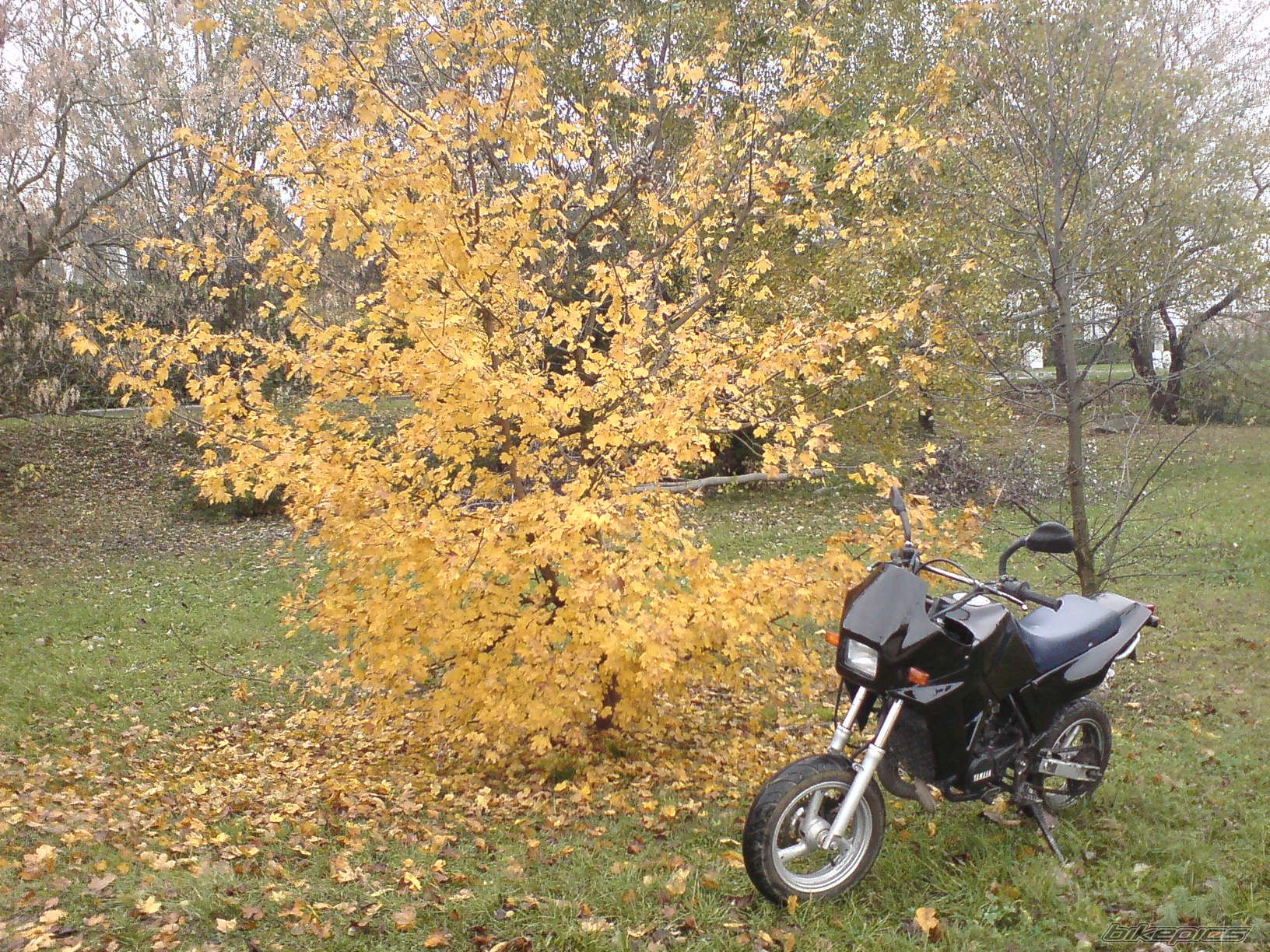 Photo 1816838