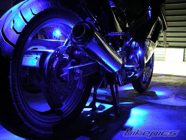 Photo 181684