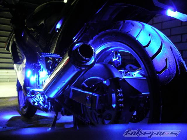 Photo 181685