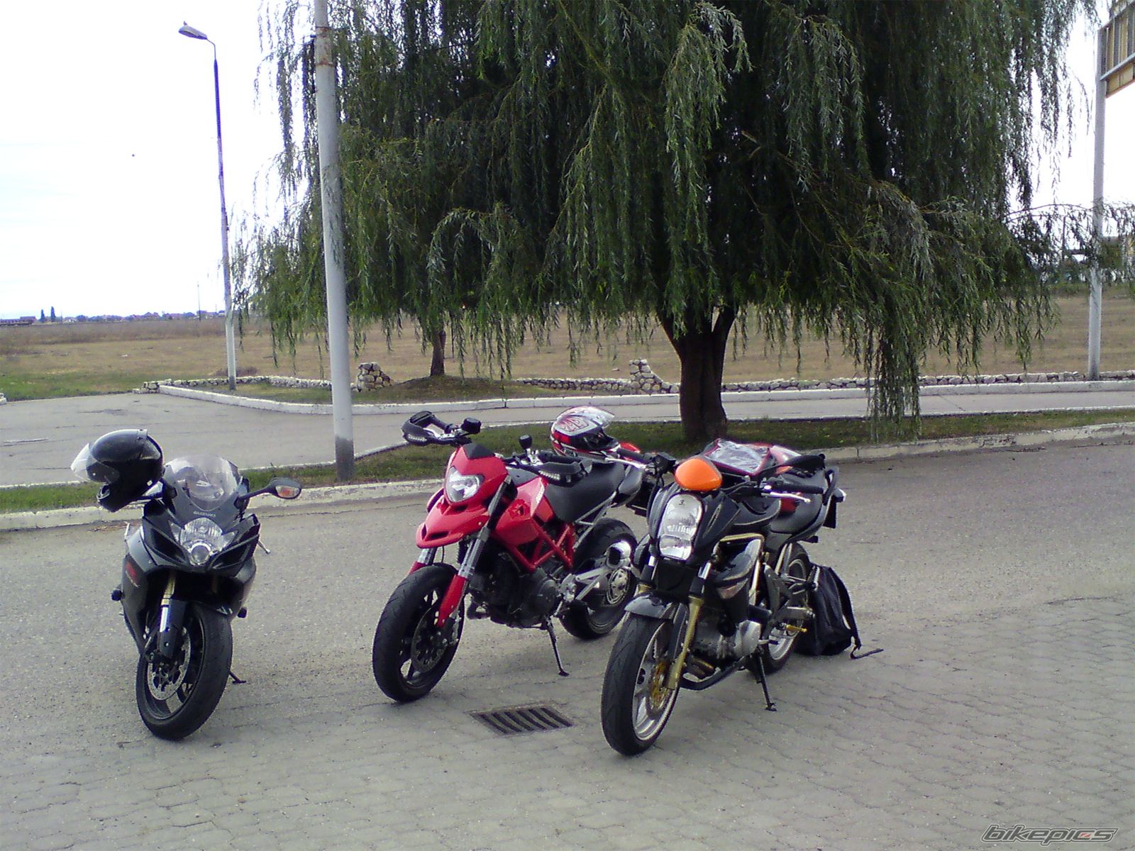 Photo 1816854