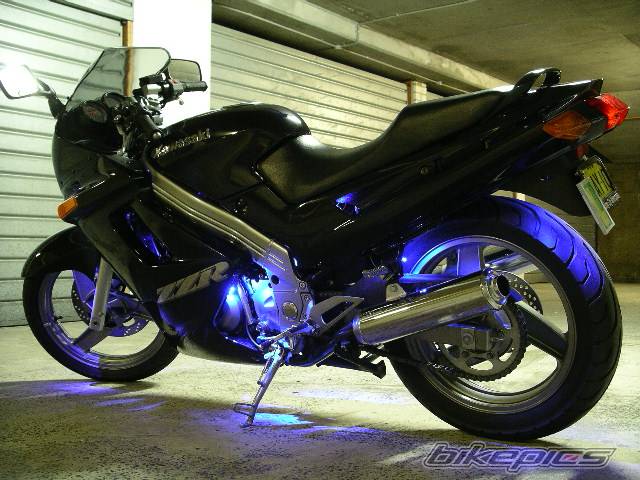 Photo 181692