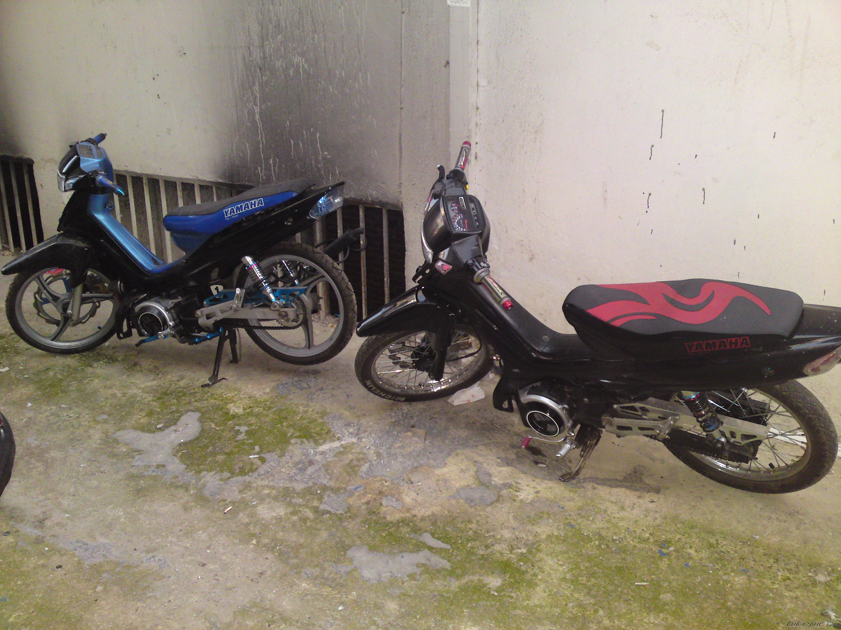 Photo 1817161