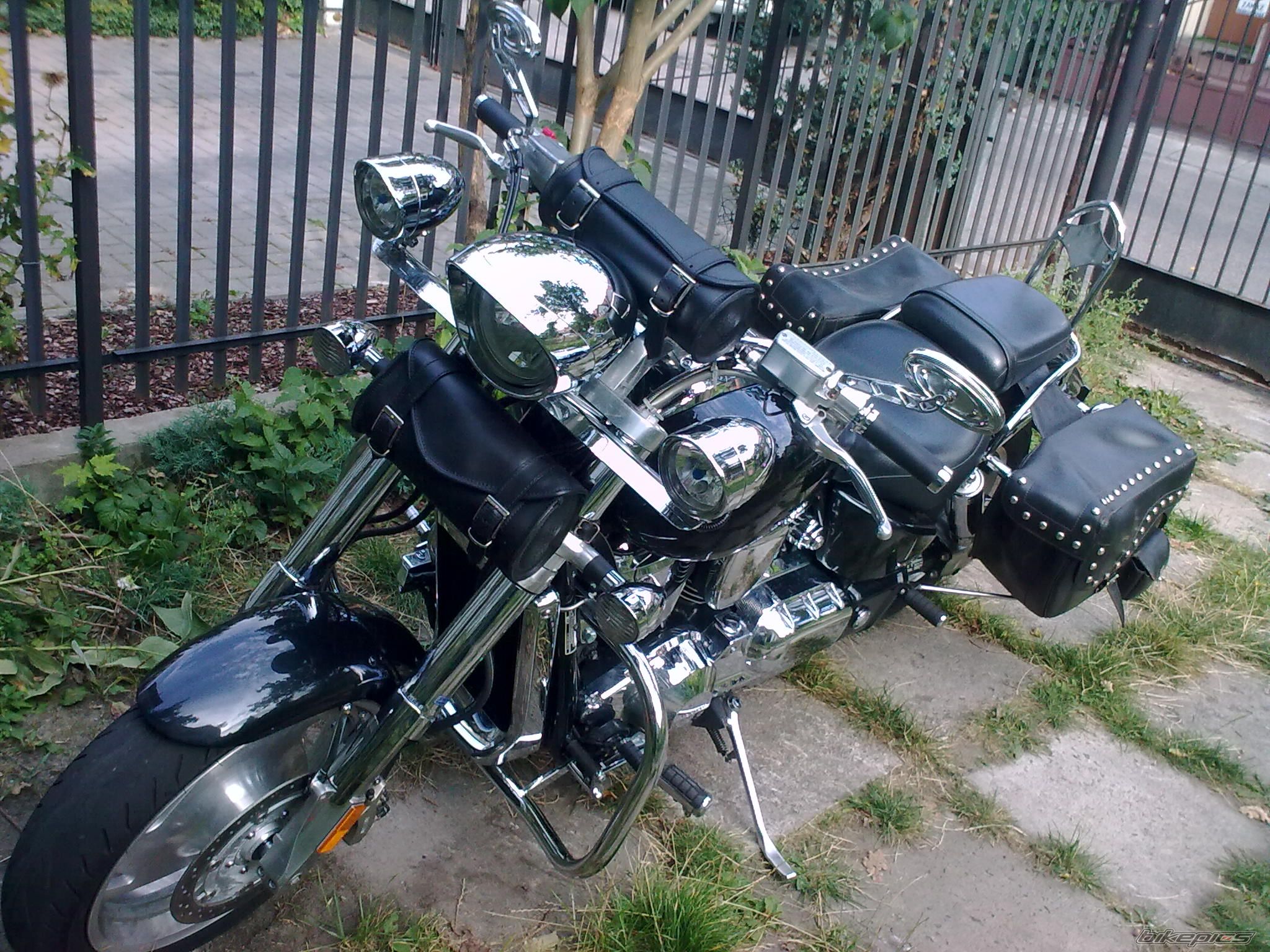 Photo 1817182