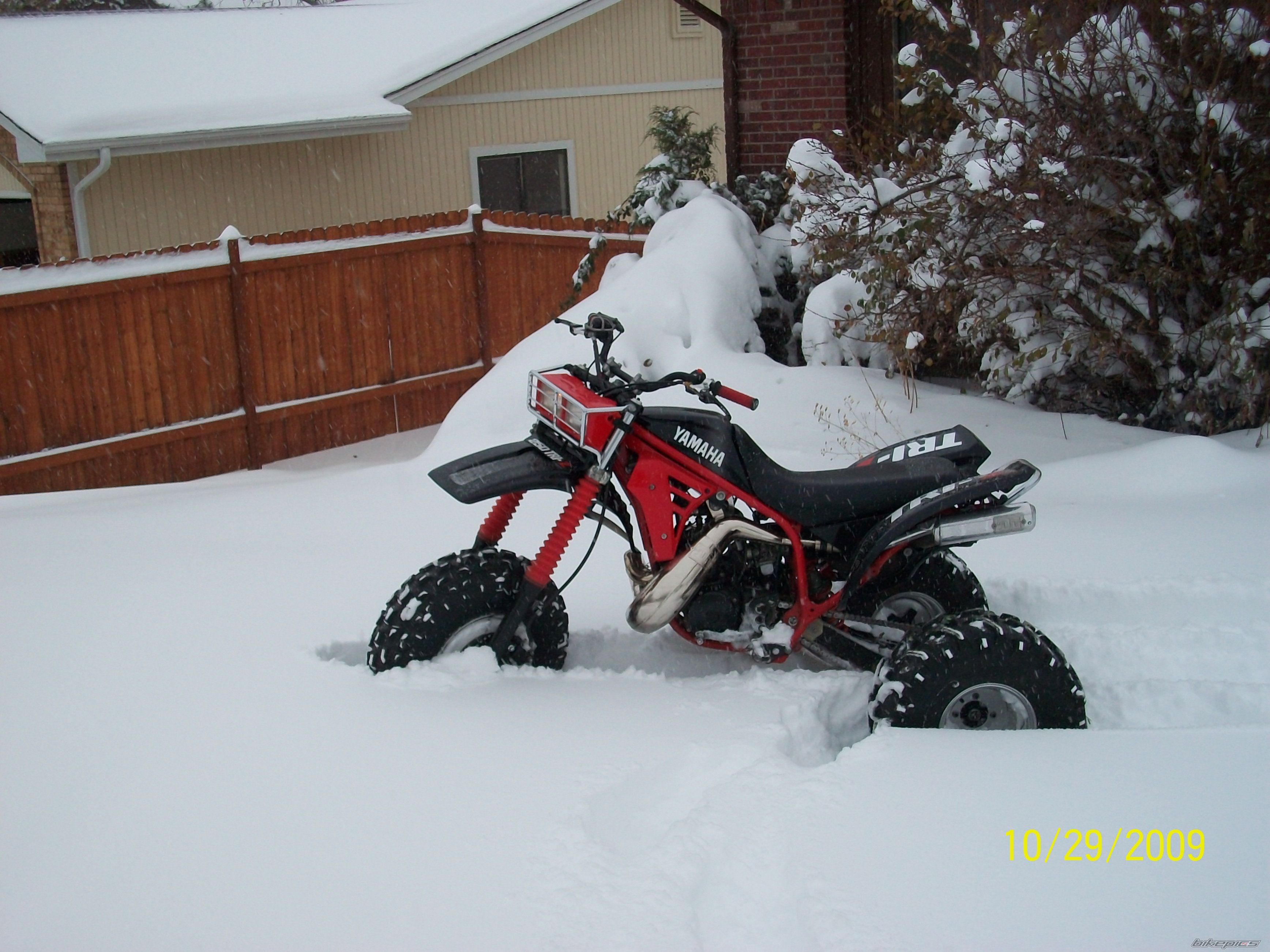 Photo 1817233