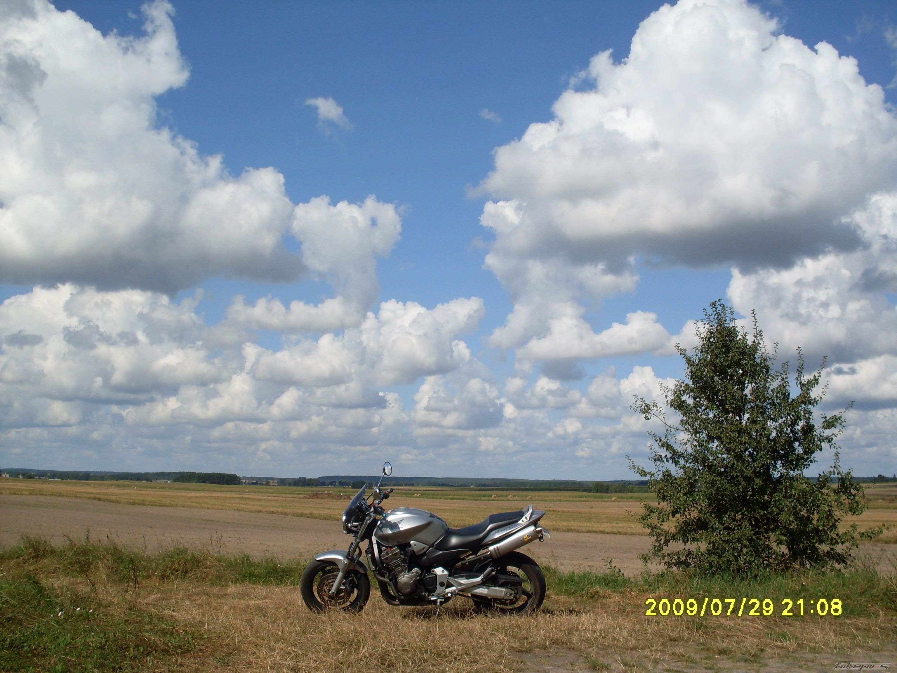 Photo 1817294