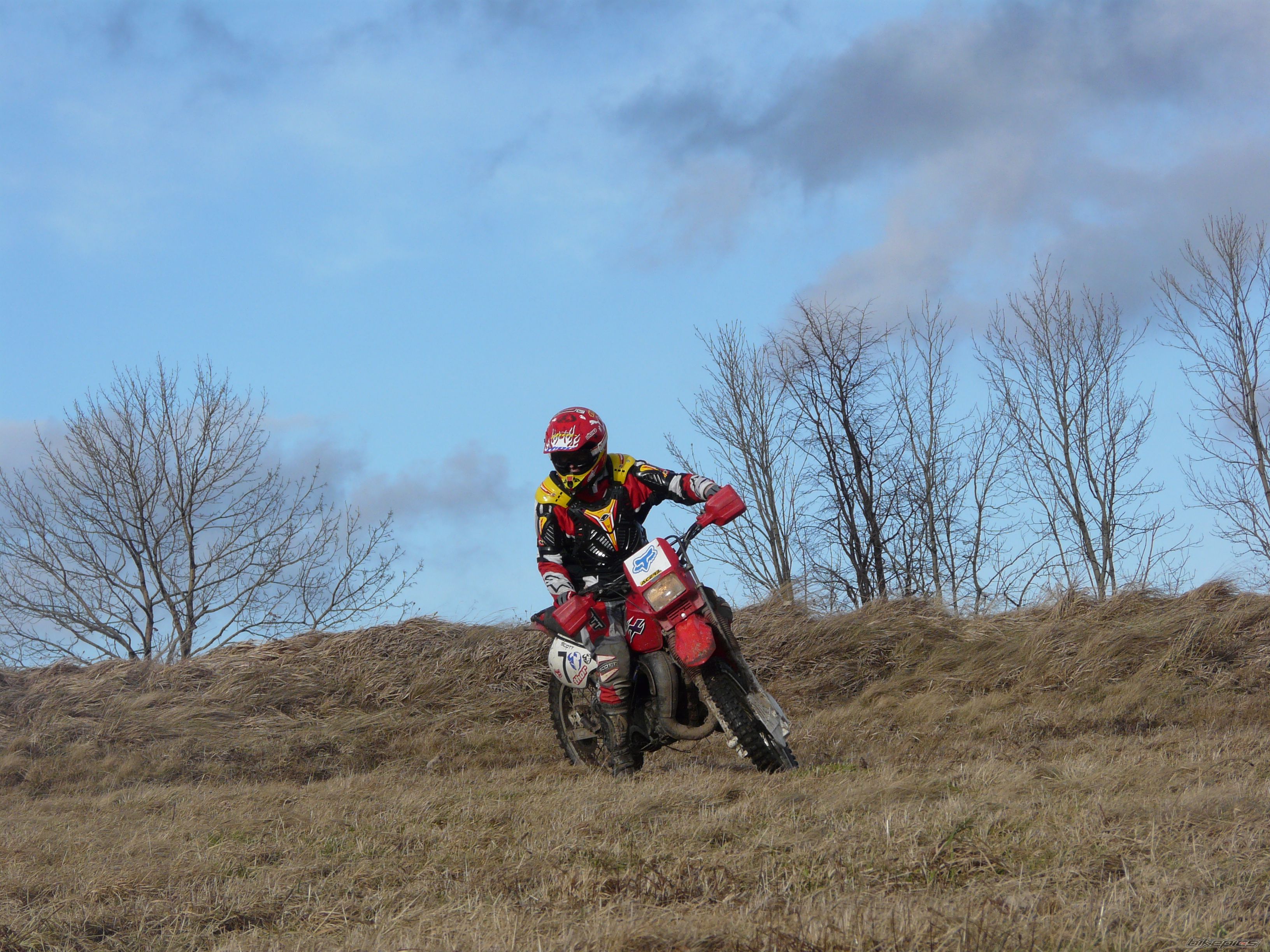 Photo 1817424