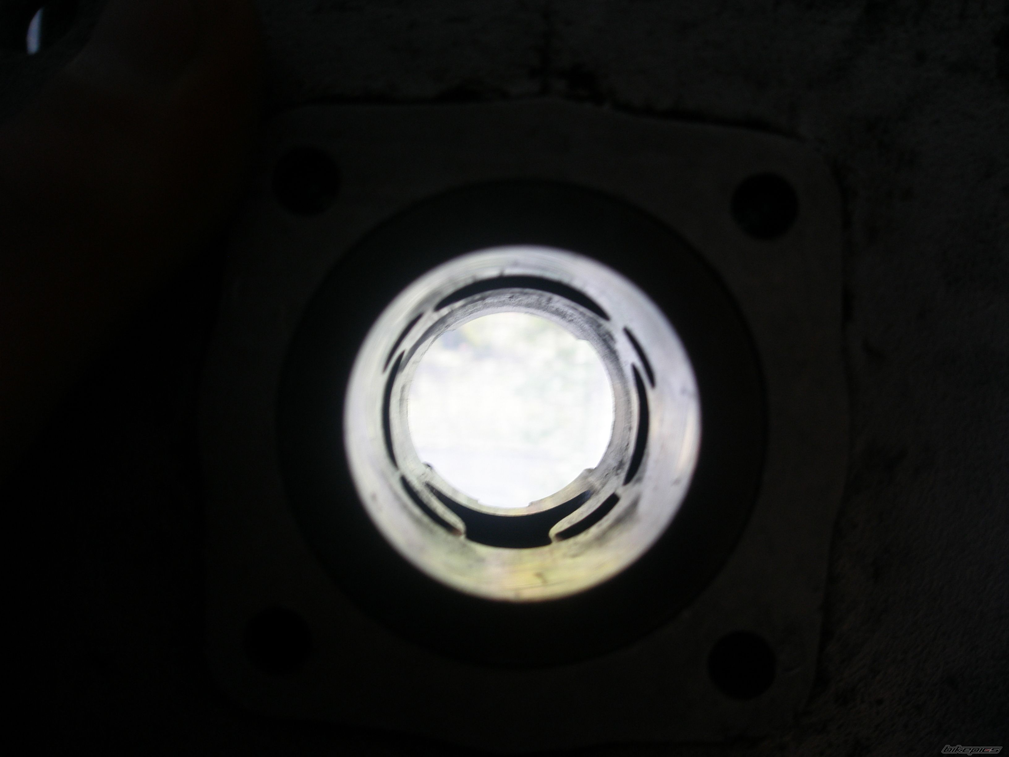 Photo 1817426