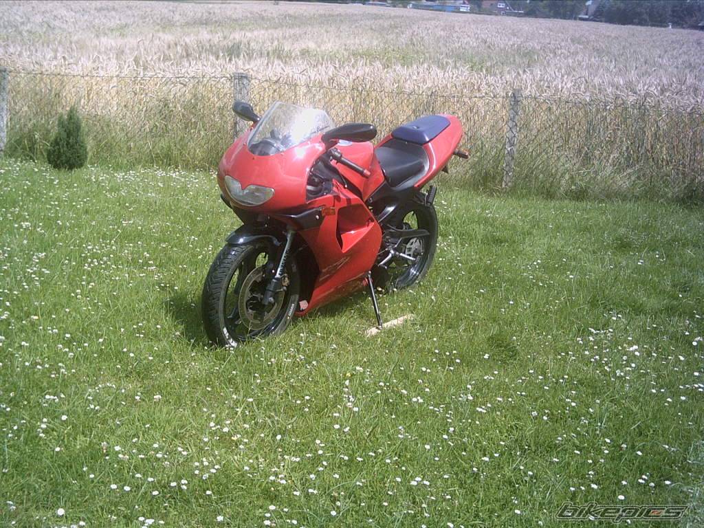 Photo 181744