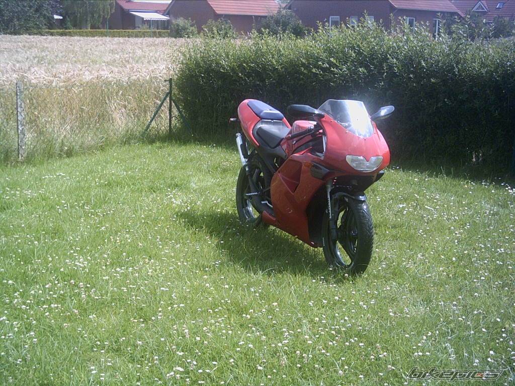 Photo 181745