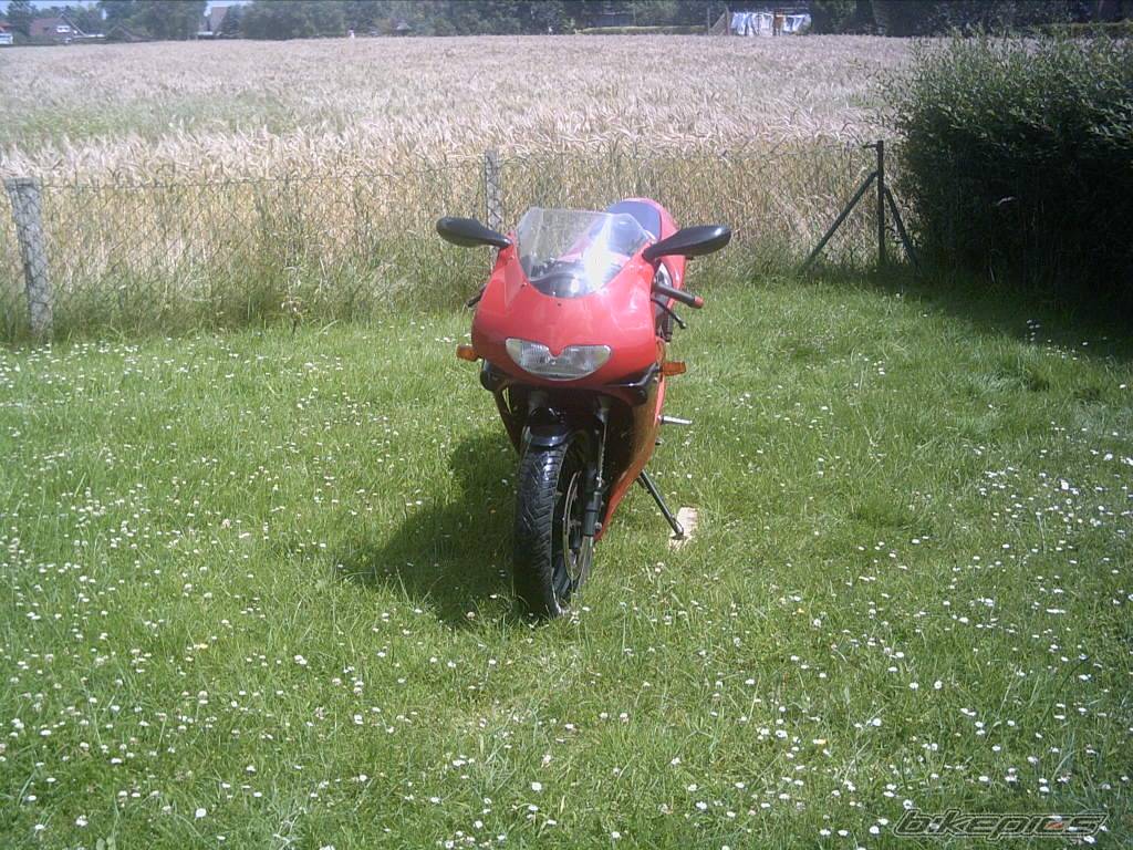 Photo 181746