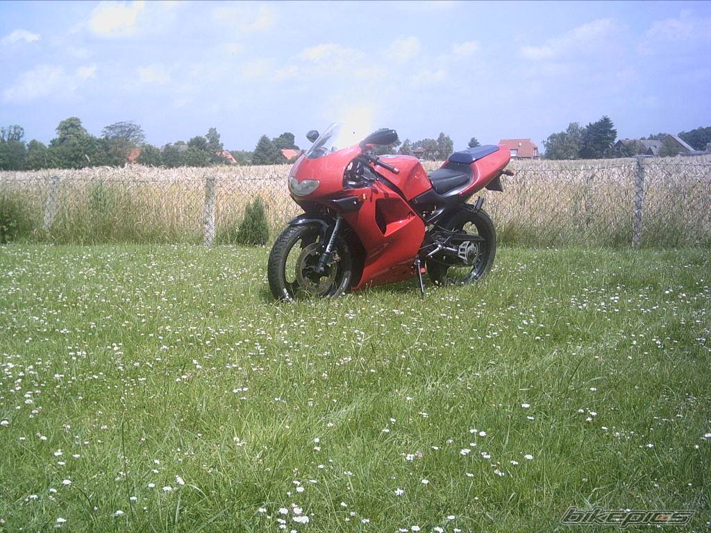 Photo 181747