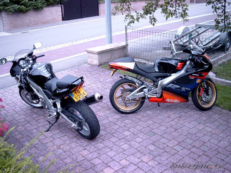 Photo 181771