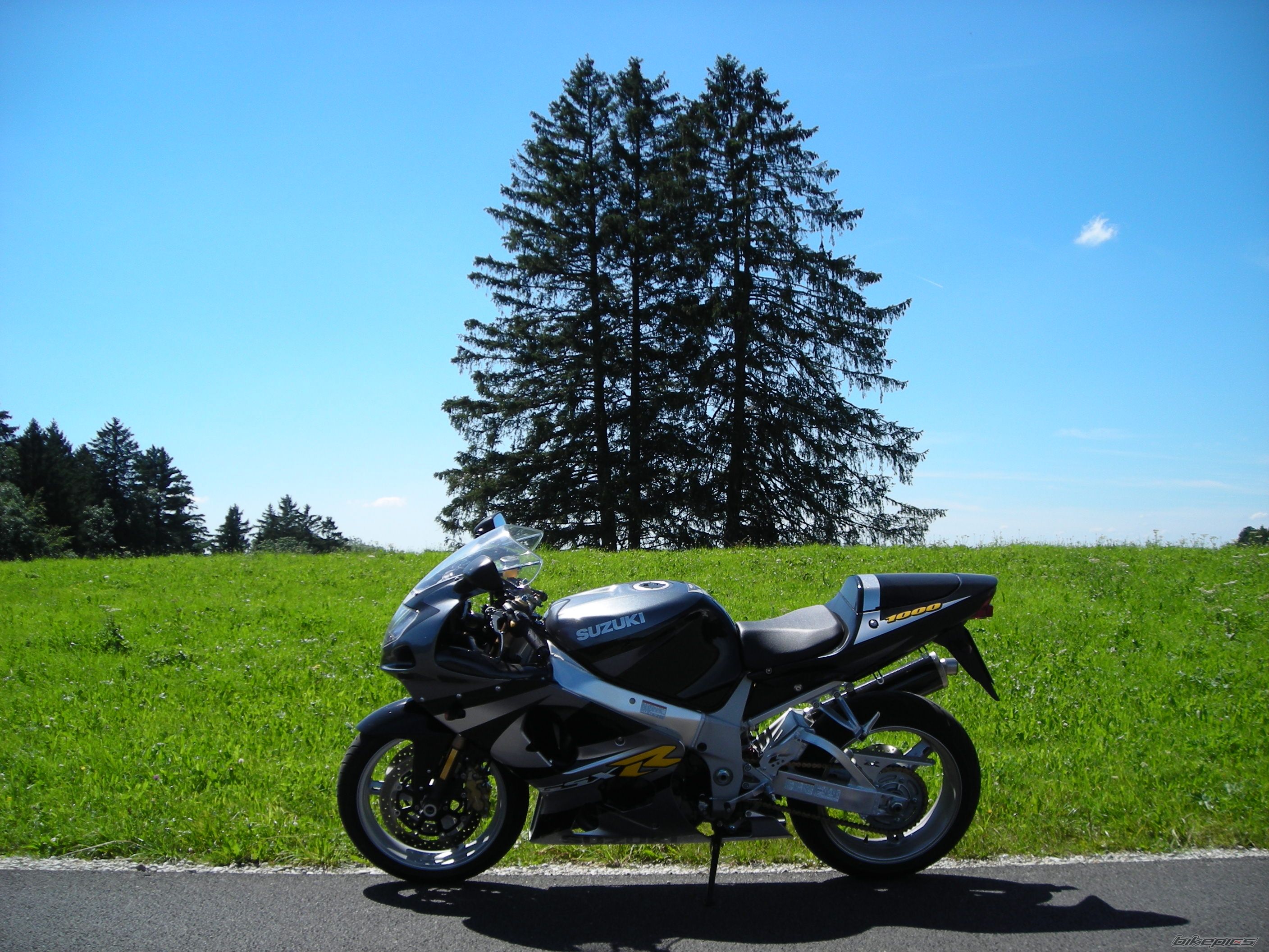 Photo 1817805