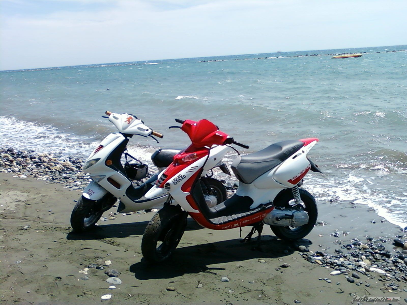 Photo 1817846