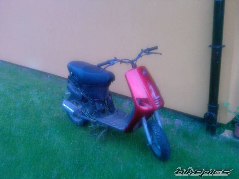 Photo 1817967