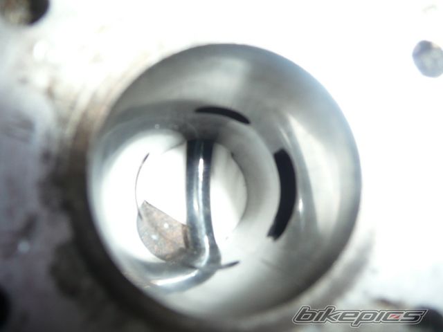 Photo 1818040