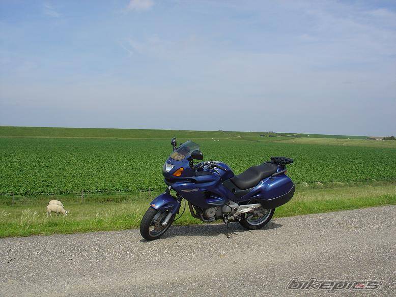 Bike Photo 181817