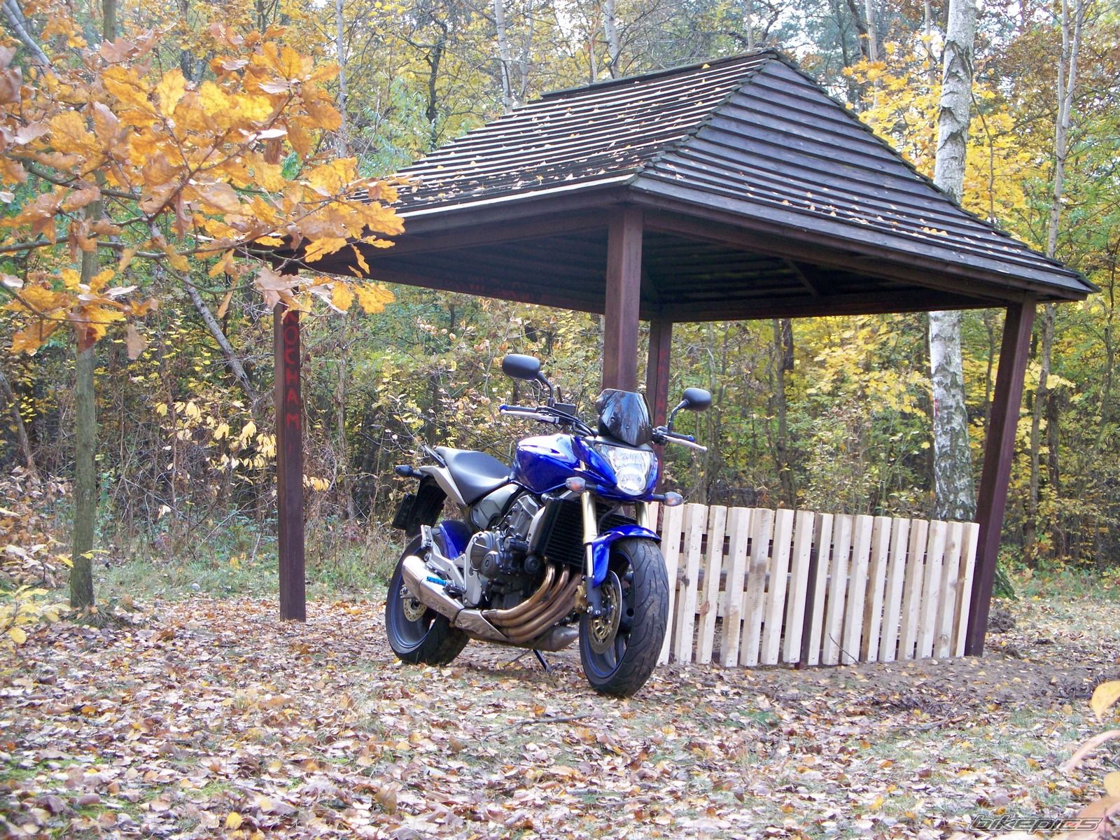 Bike Photo 1818219