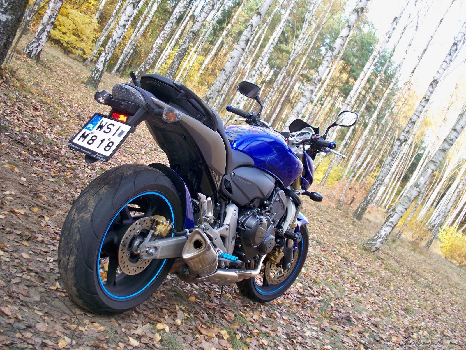 Photo 1818222