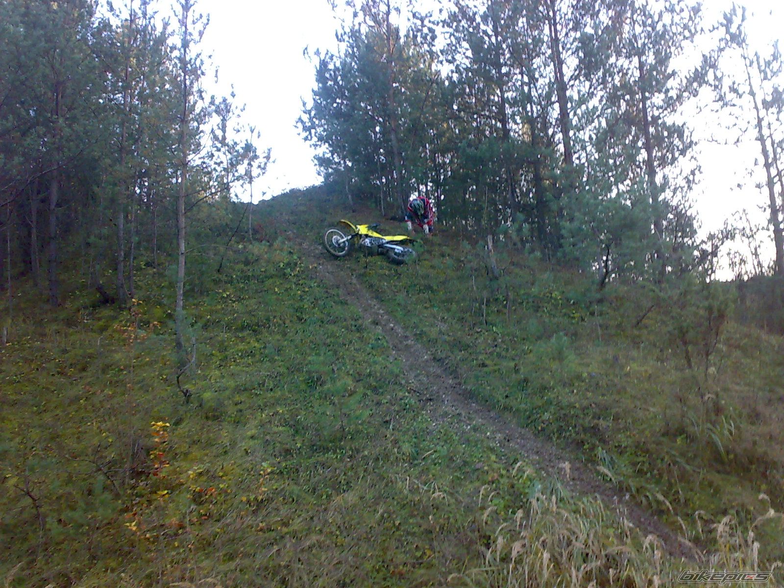 Photo 1818240