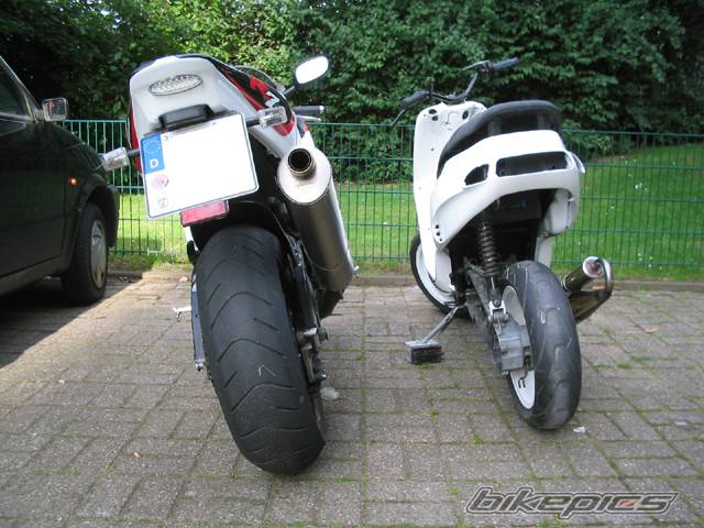 Photo 181829