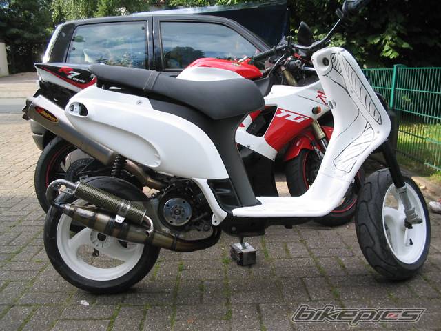 Photo 181830