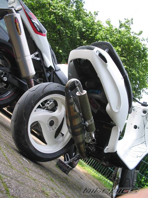 Photo 181833