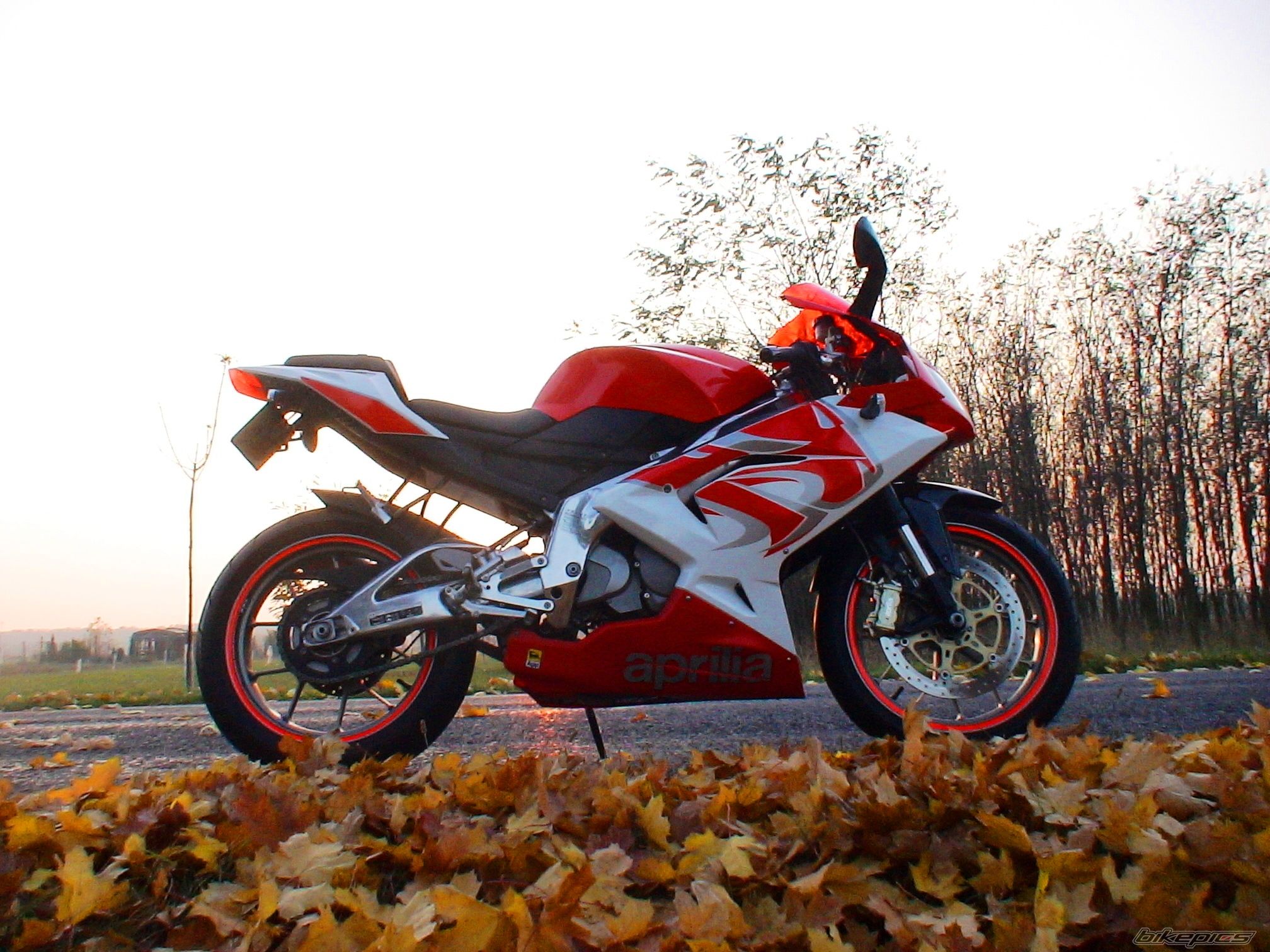 Bike Photo 1818376