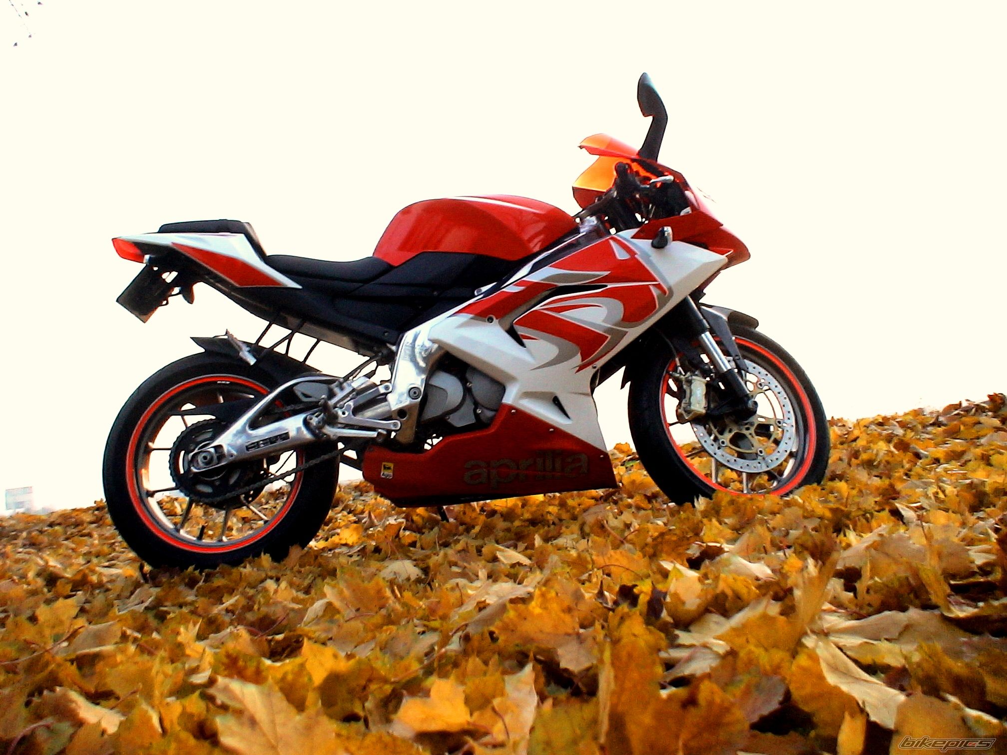 Bike Photo 1818390