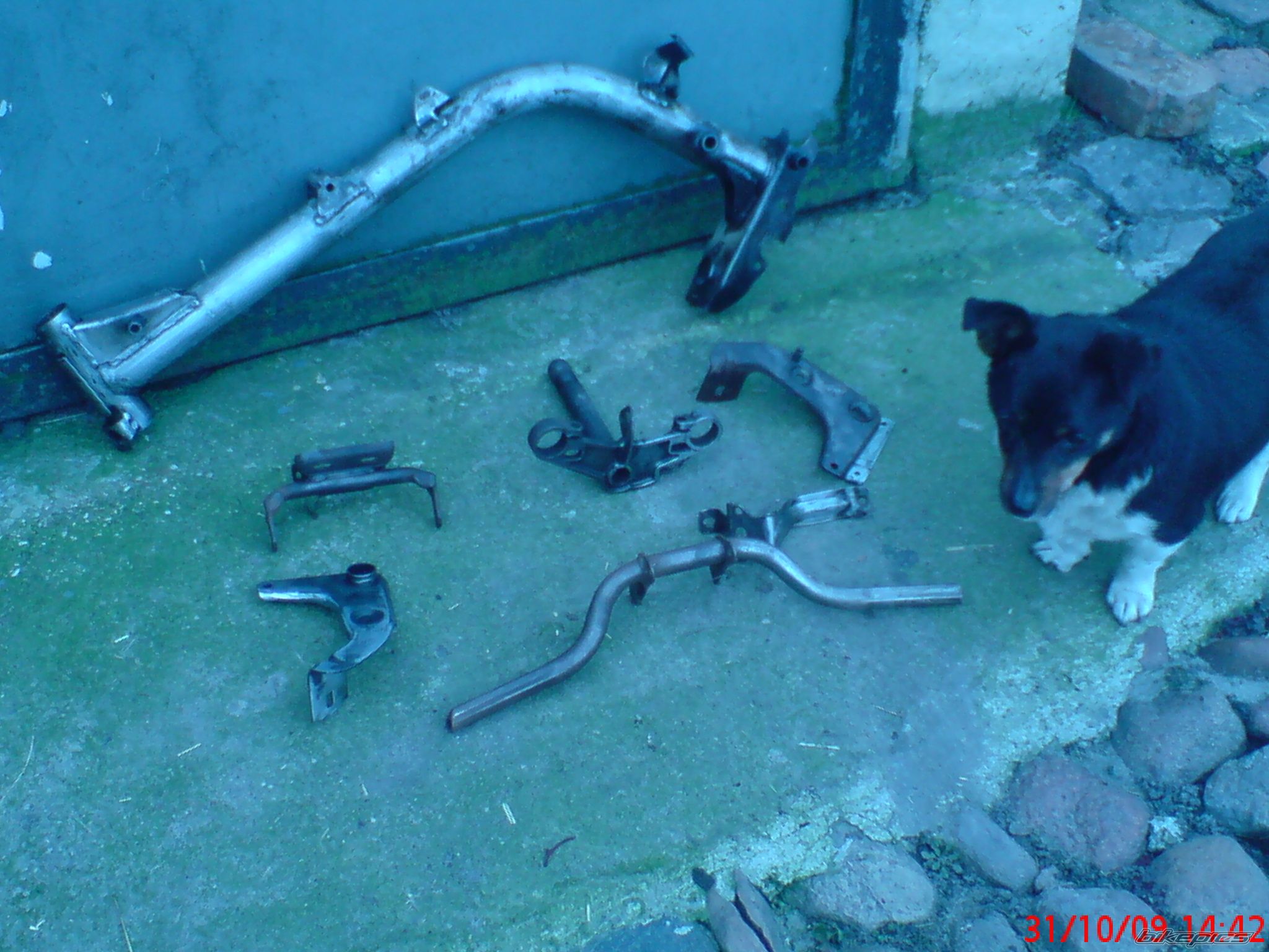 Bike Photo 1818506