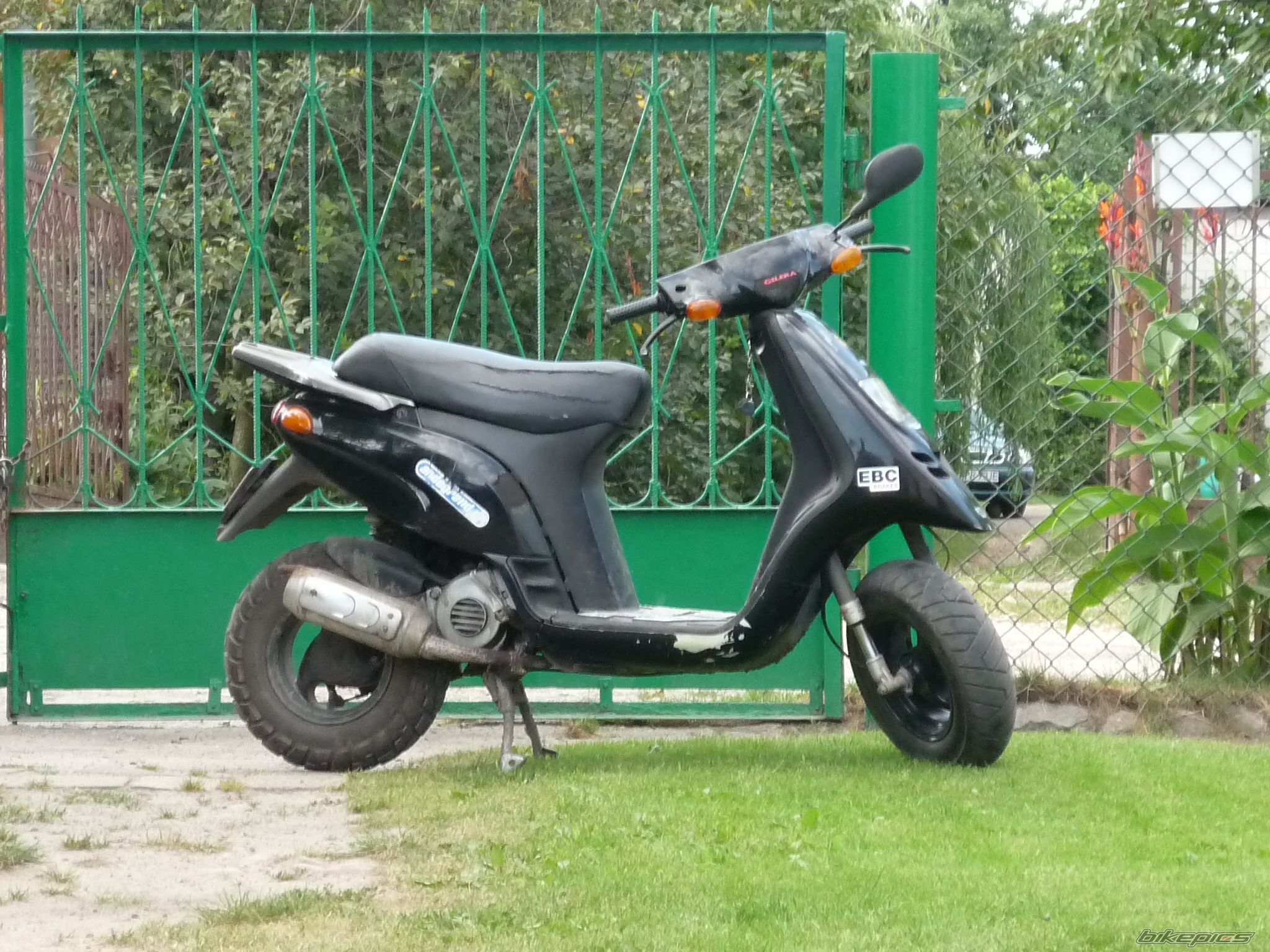 Photo 1818550