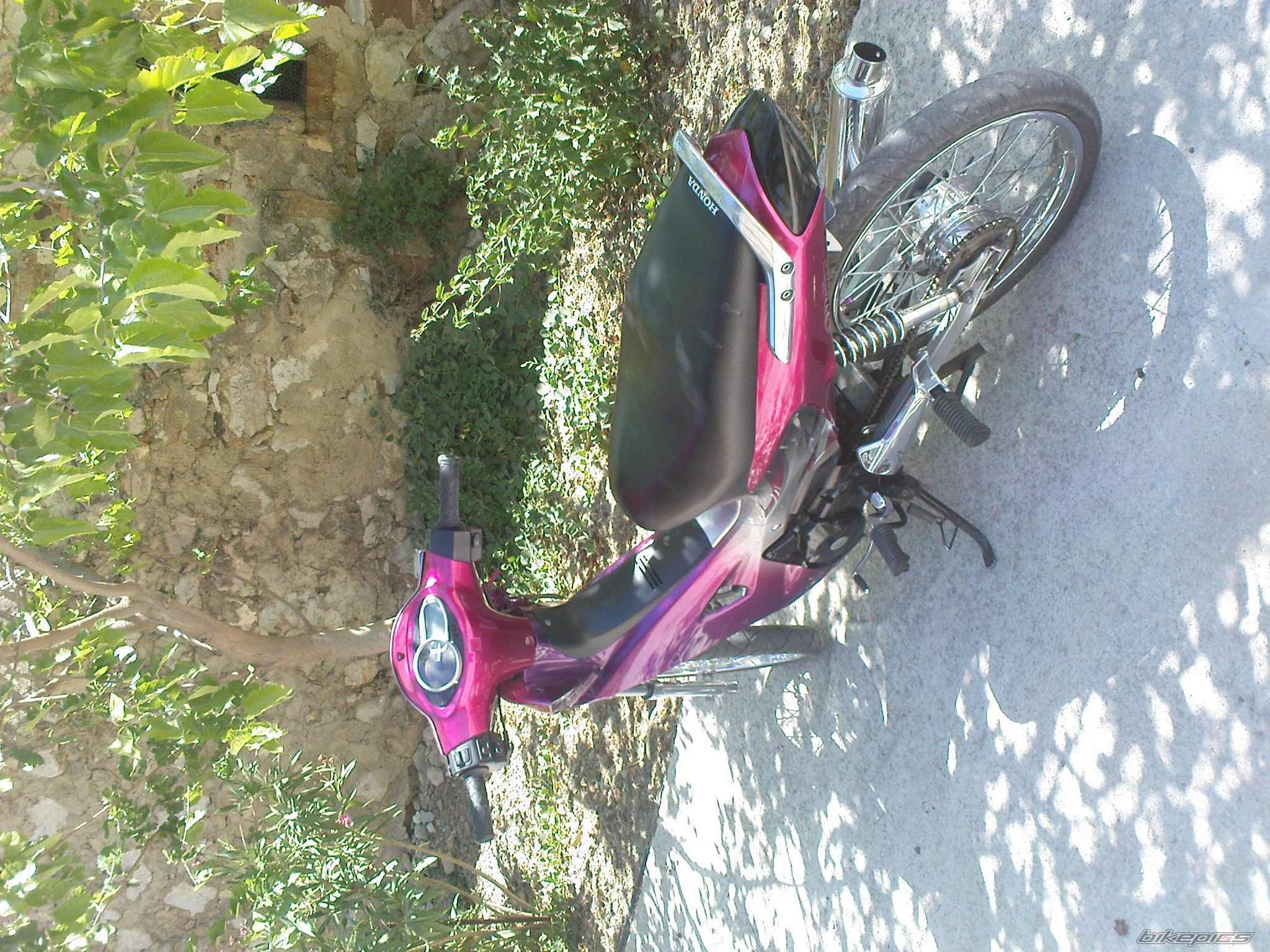 Photo 1818667