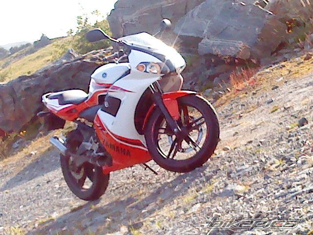 Photo 1818807