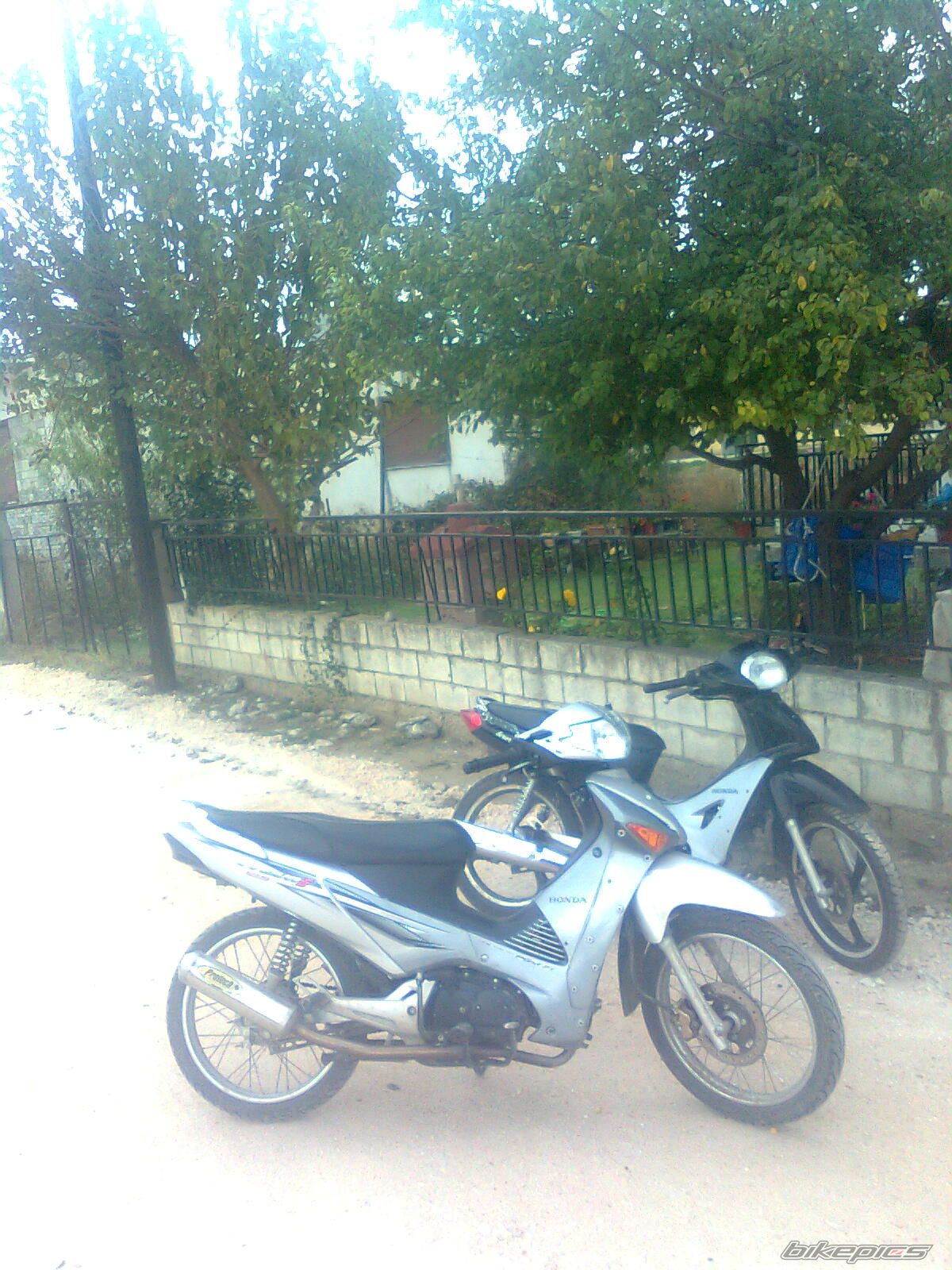 Photo 1818970