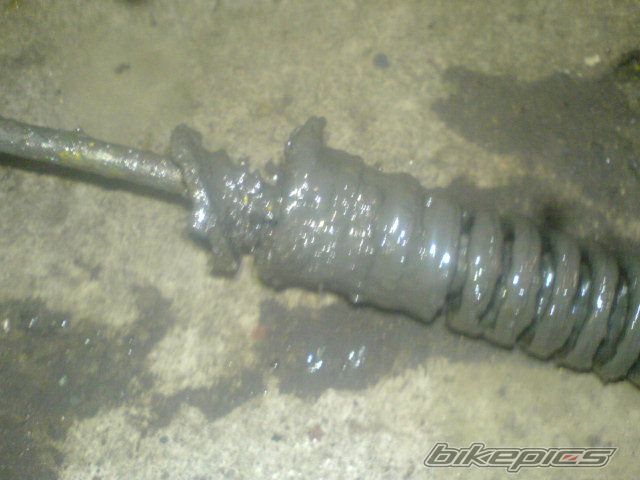 Photo 1819114