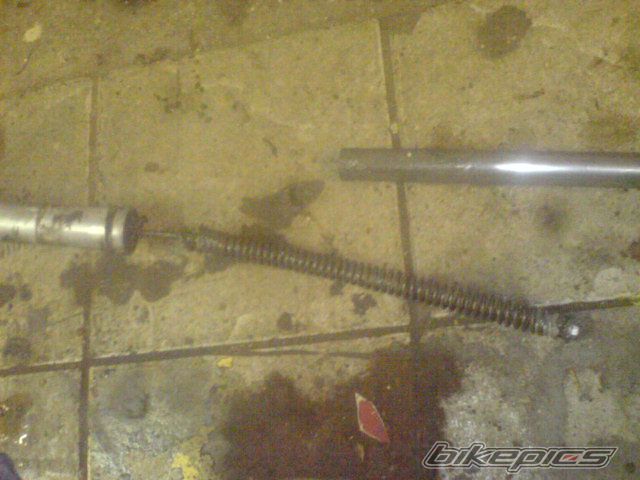 Photo 1819115