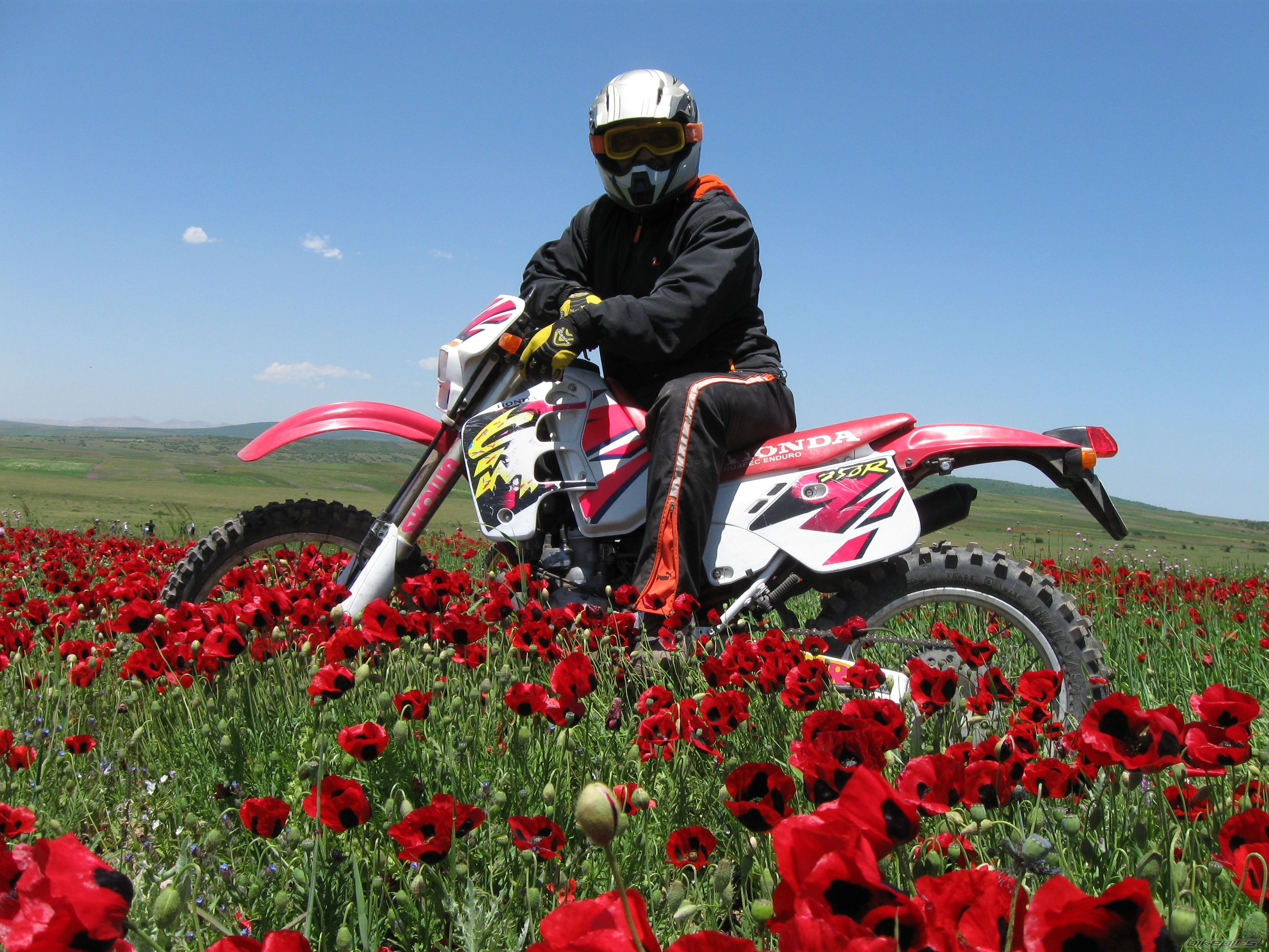 Bike Photo 1819335