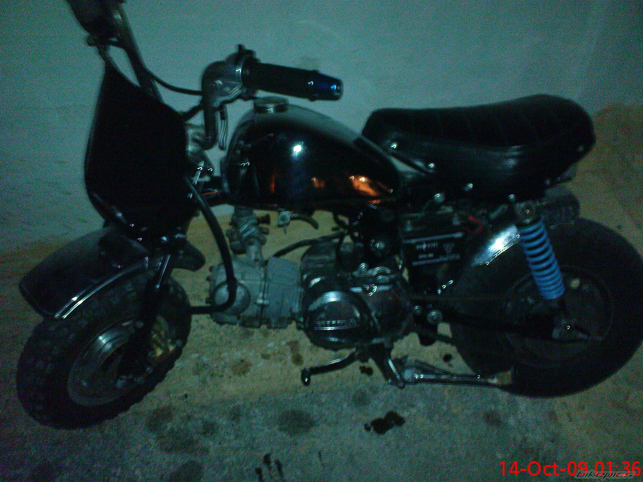 Photo 1819436