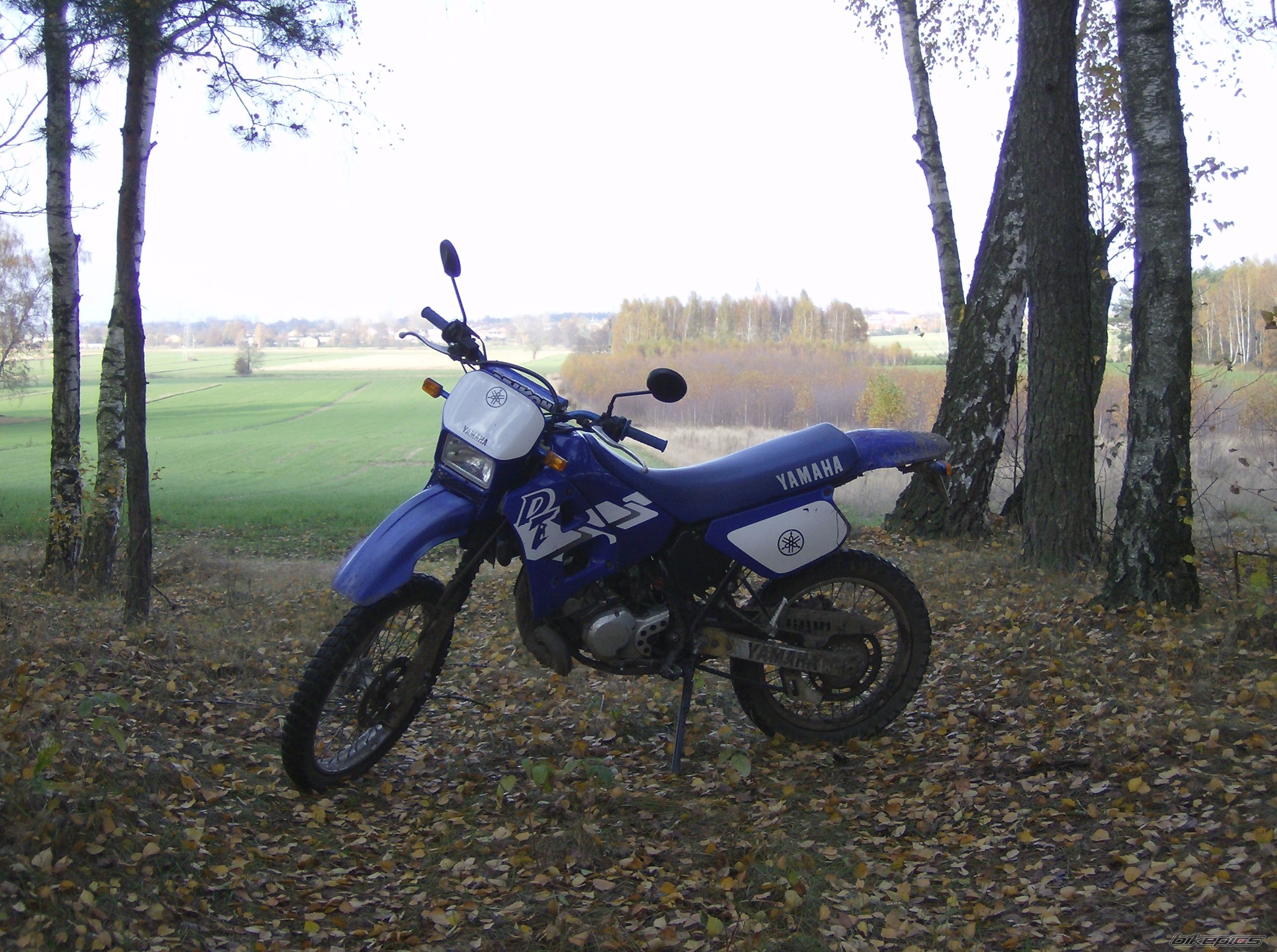 Photo 1819529