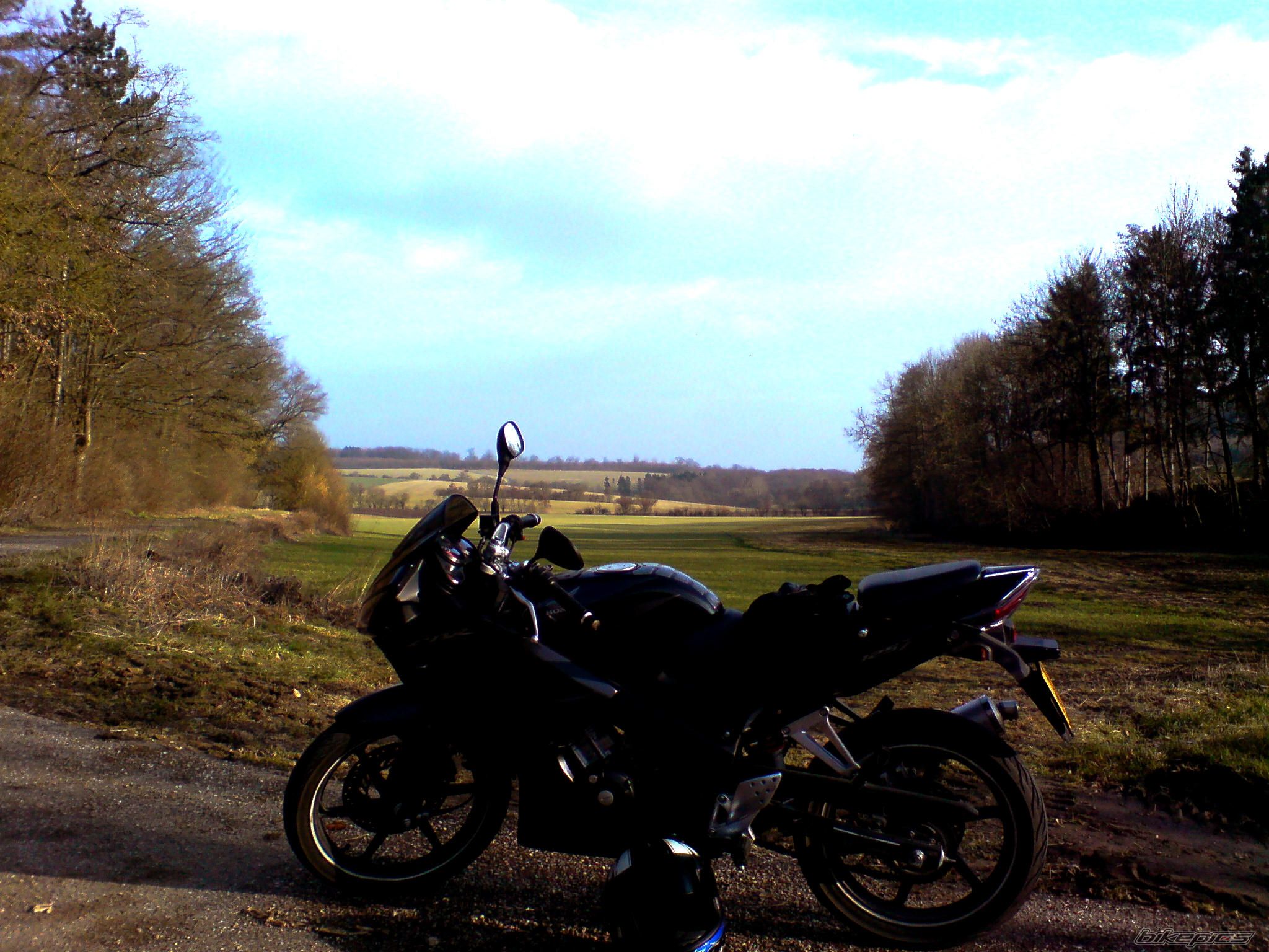 Photo 1819615