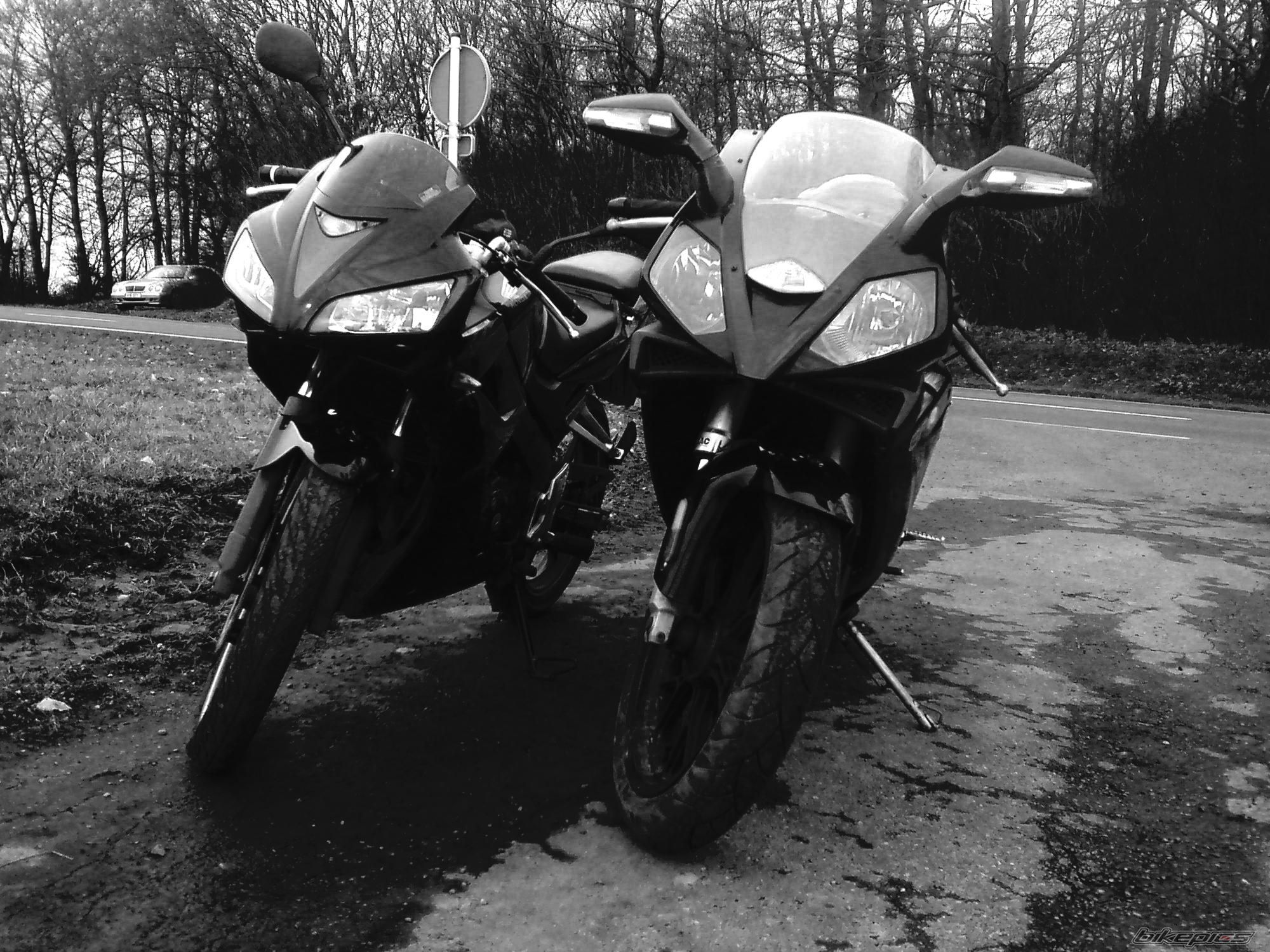 Photo 1819625