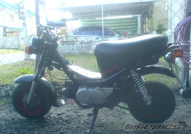 Photo 1819761