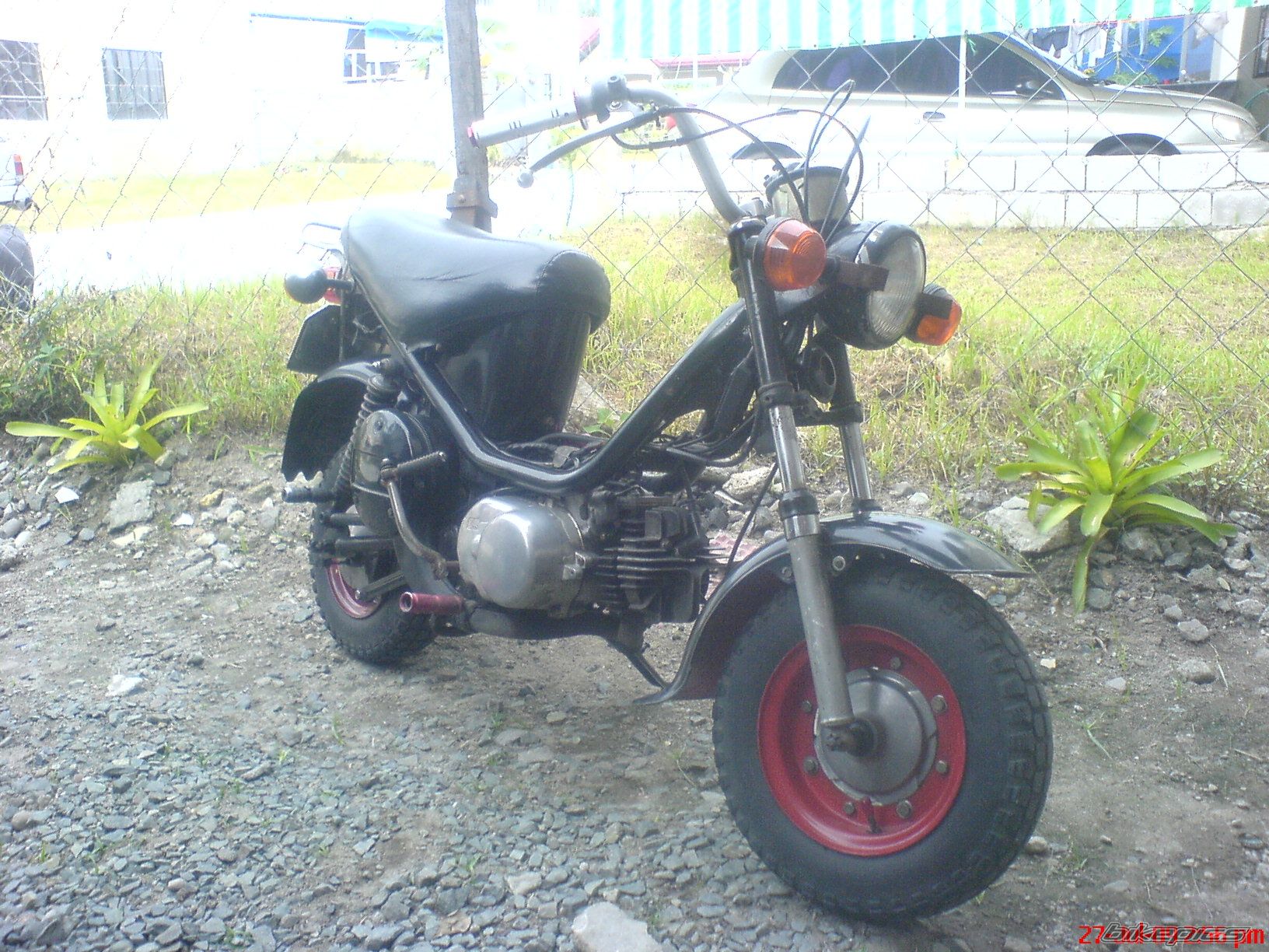 Photo 1819766