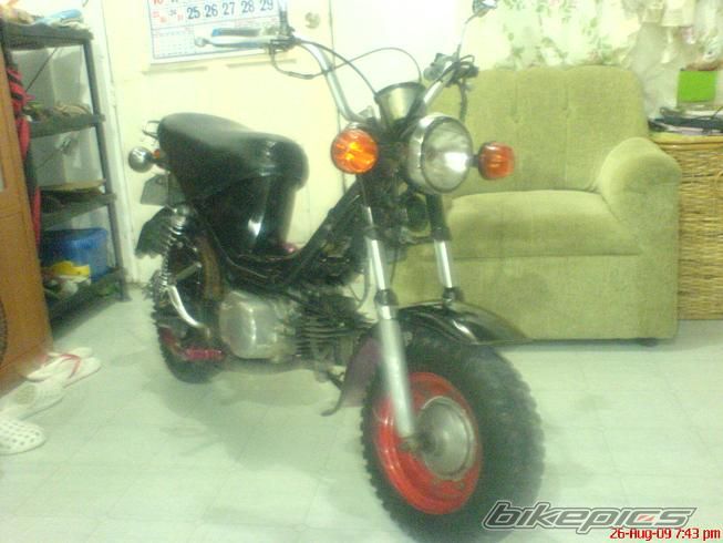 Photo 1819768